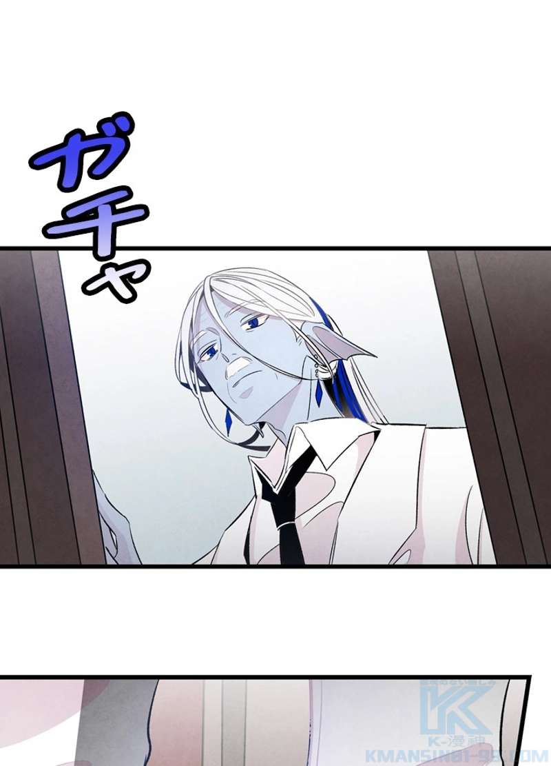 P53