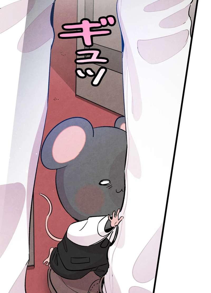 P54