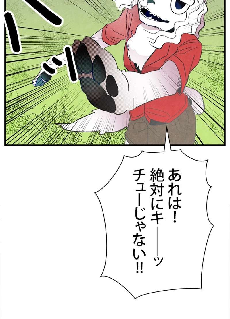 P51