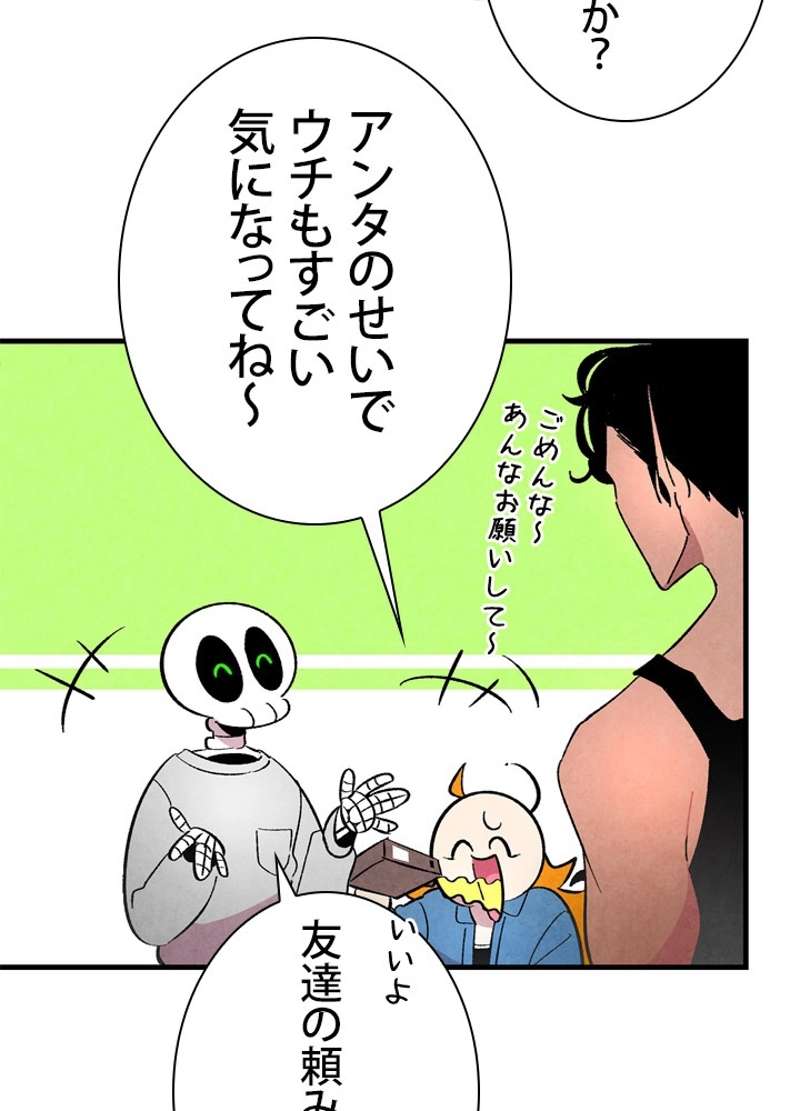 P66