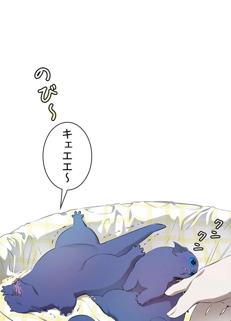 P56