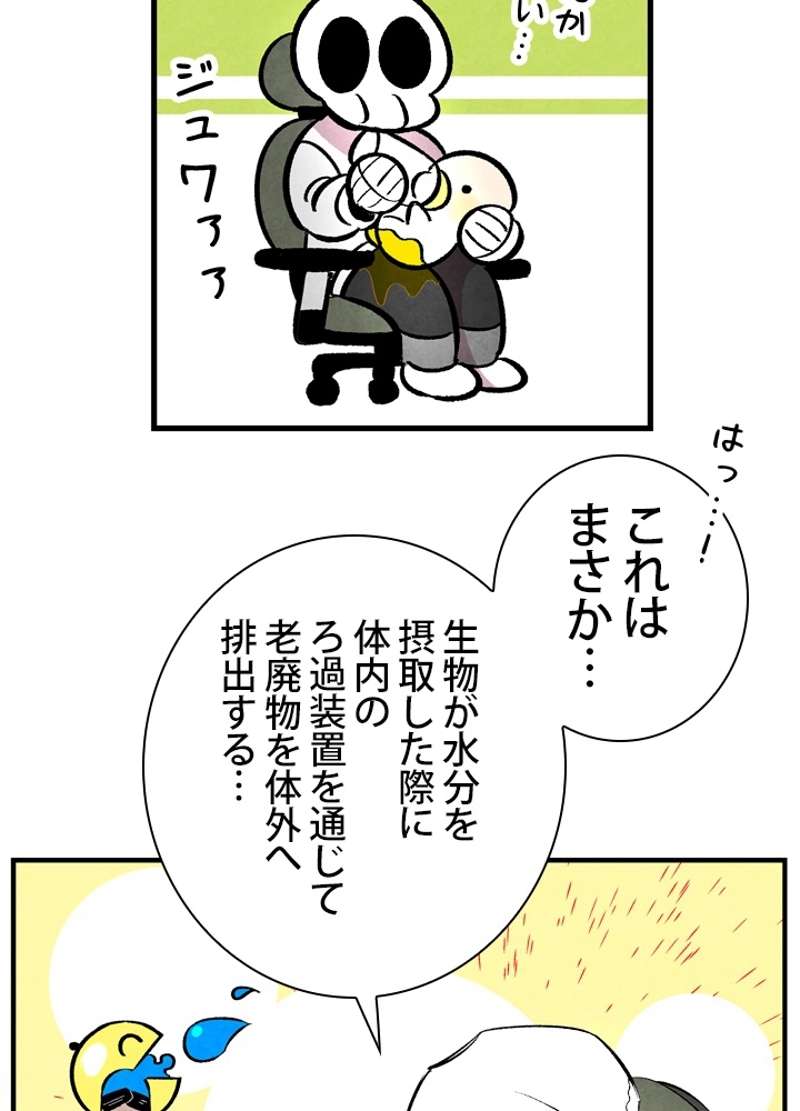 P64