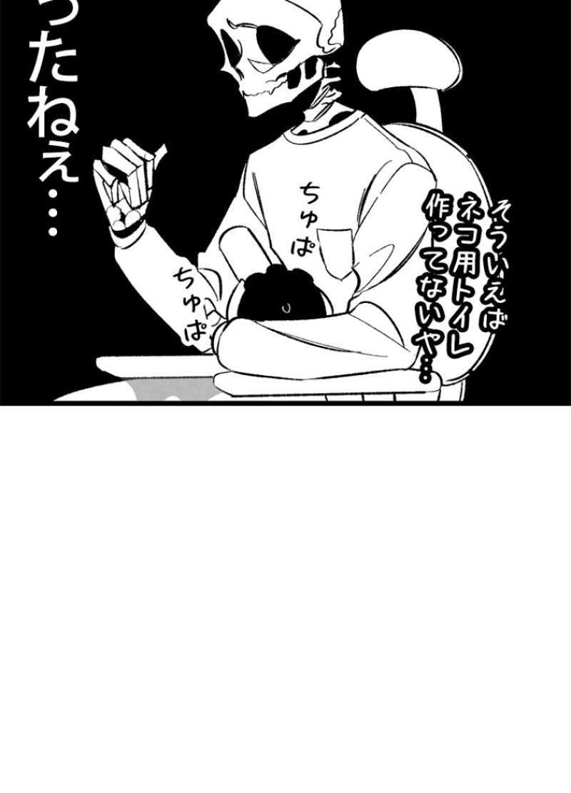 P66