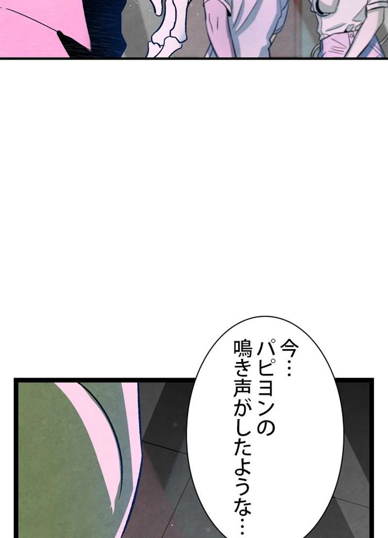 P66