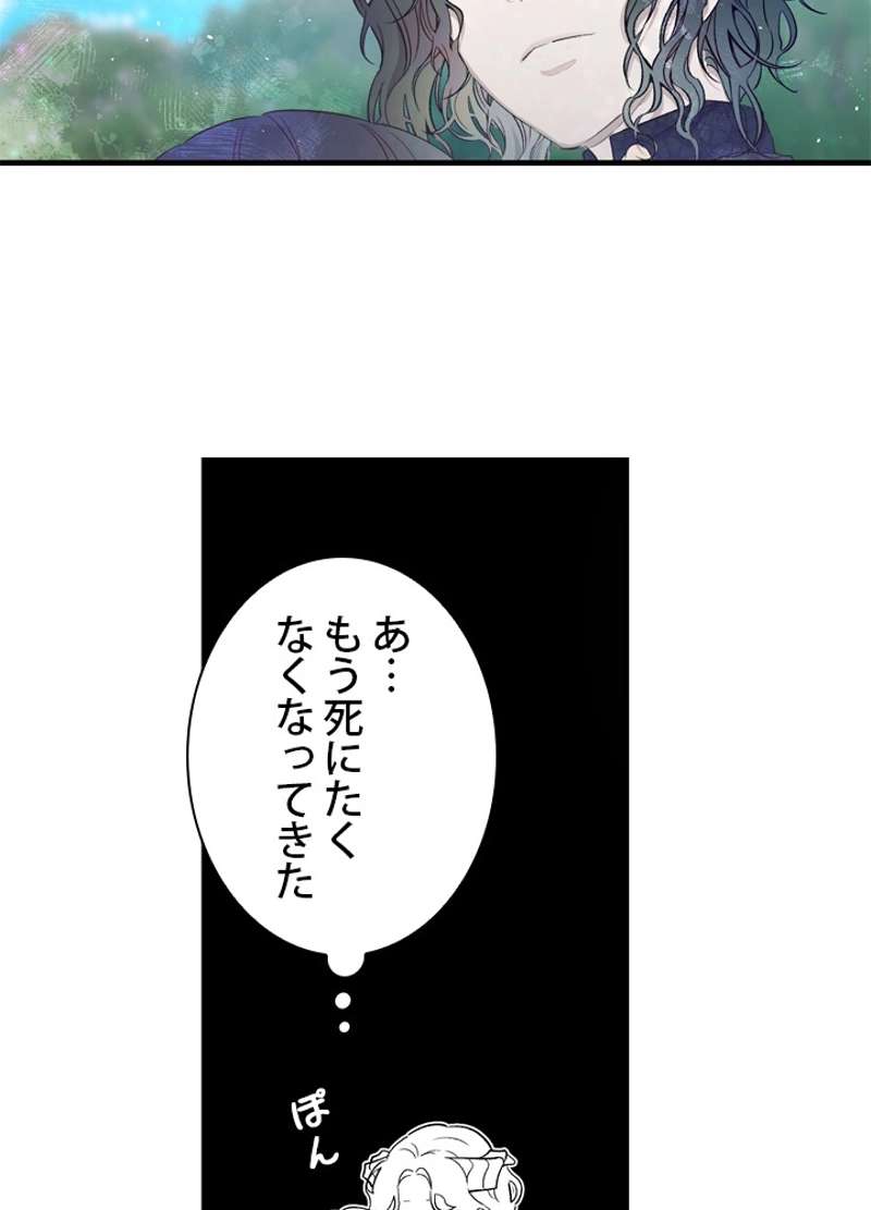 P64