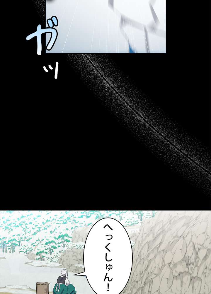 P66