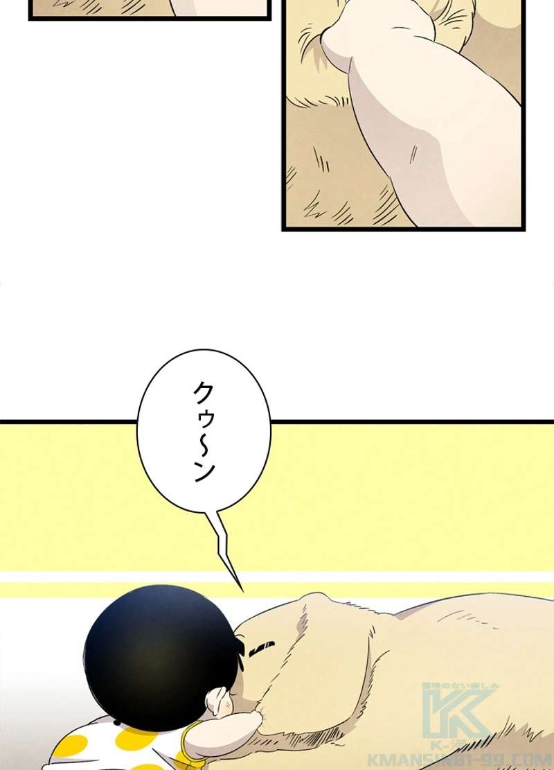 P62
