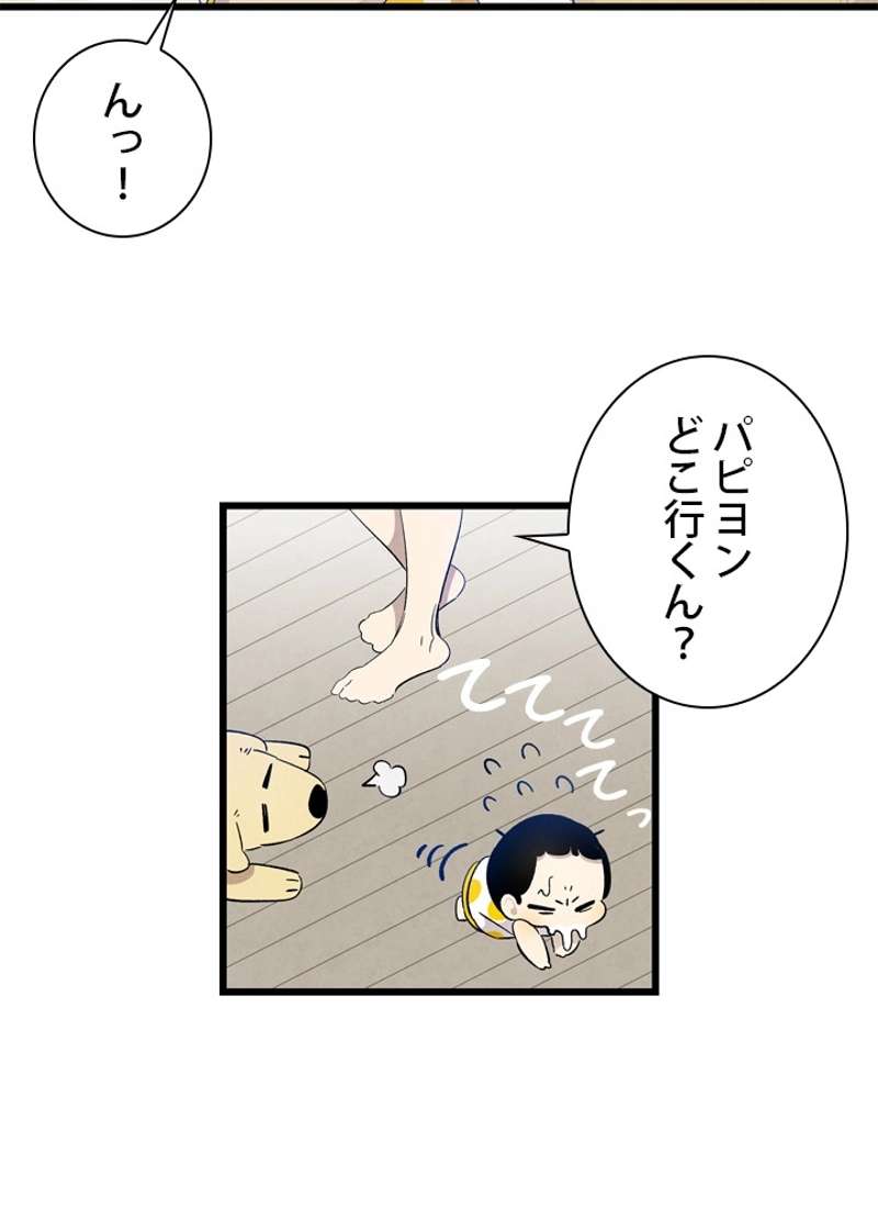 P64