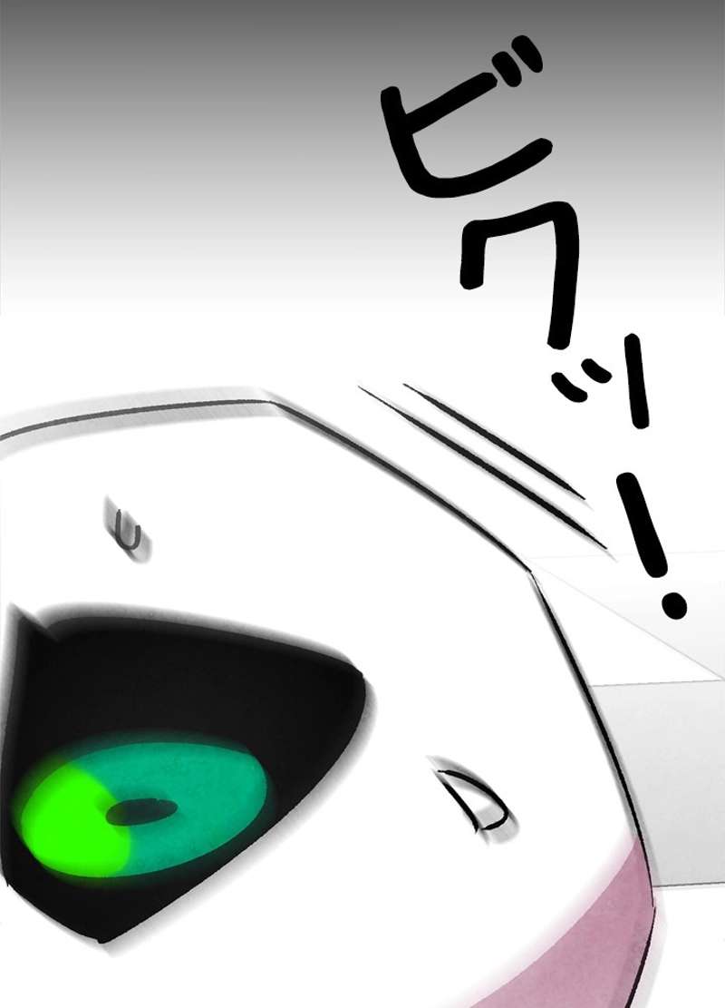 P63