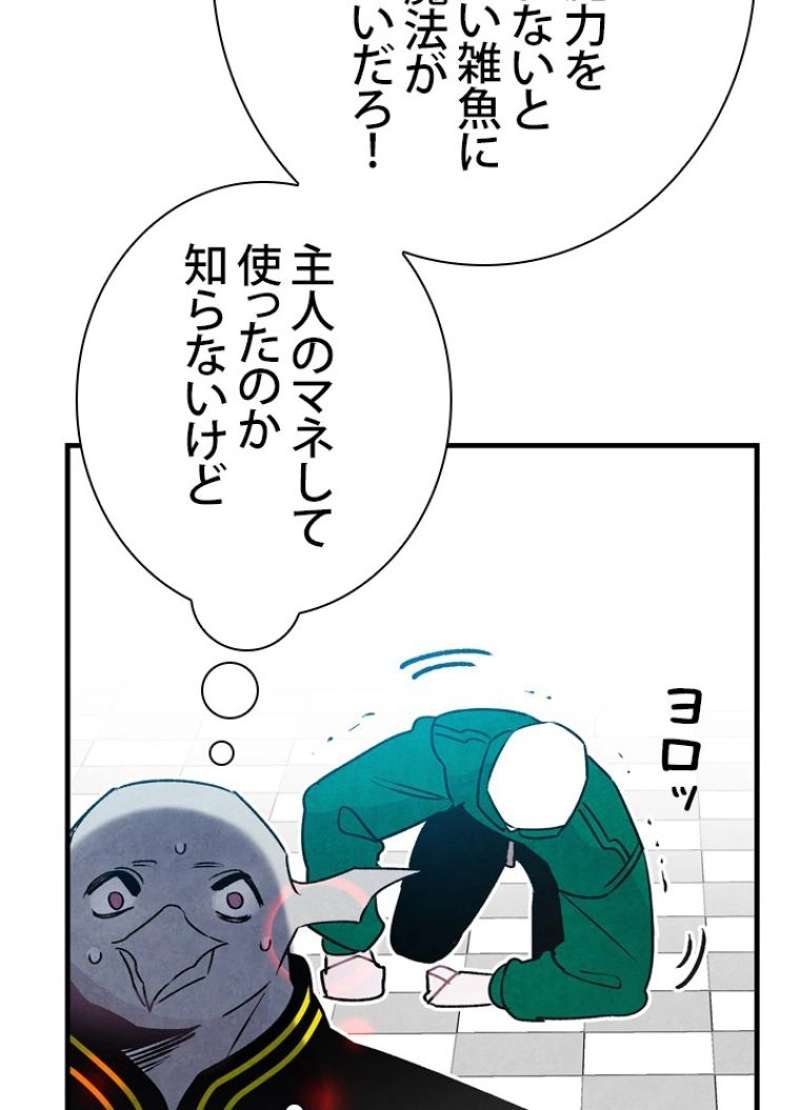 P66