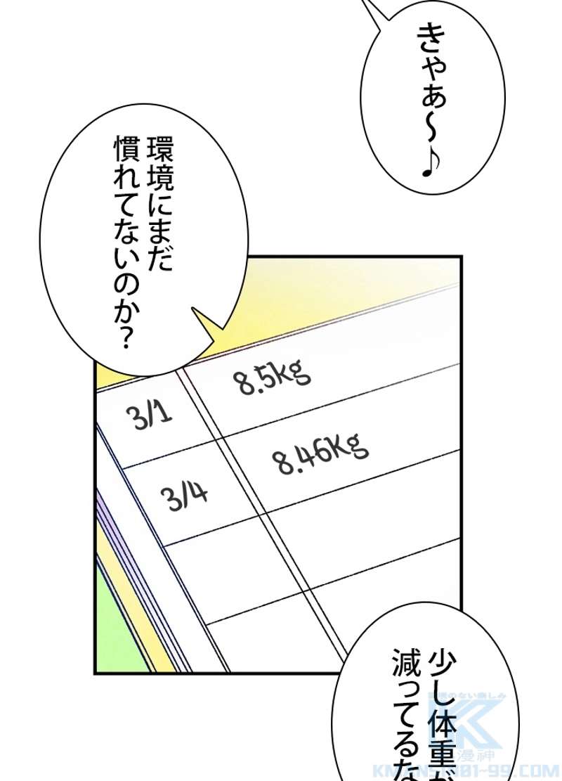 P35