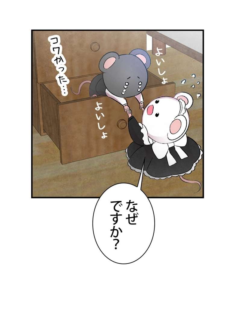 P58