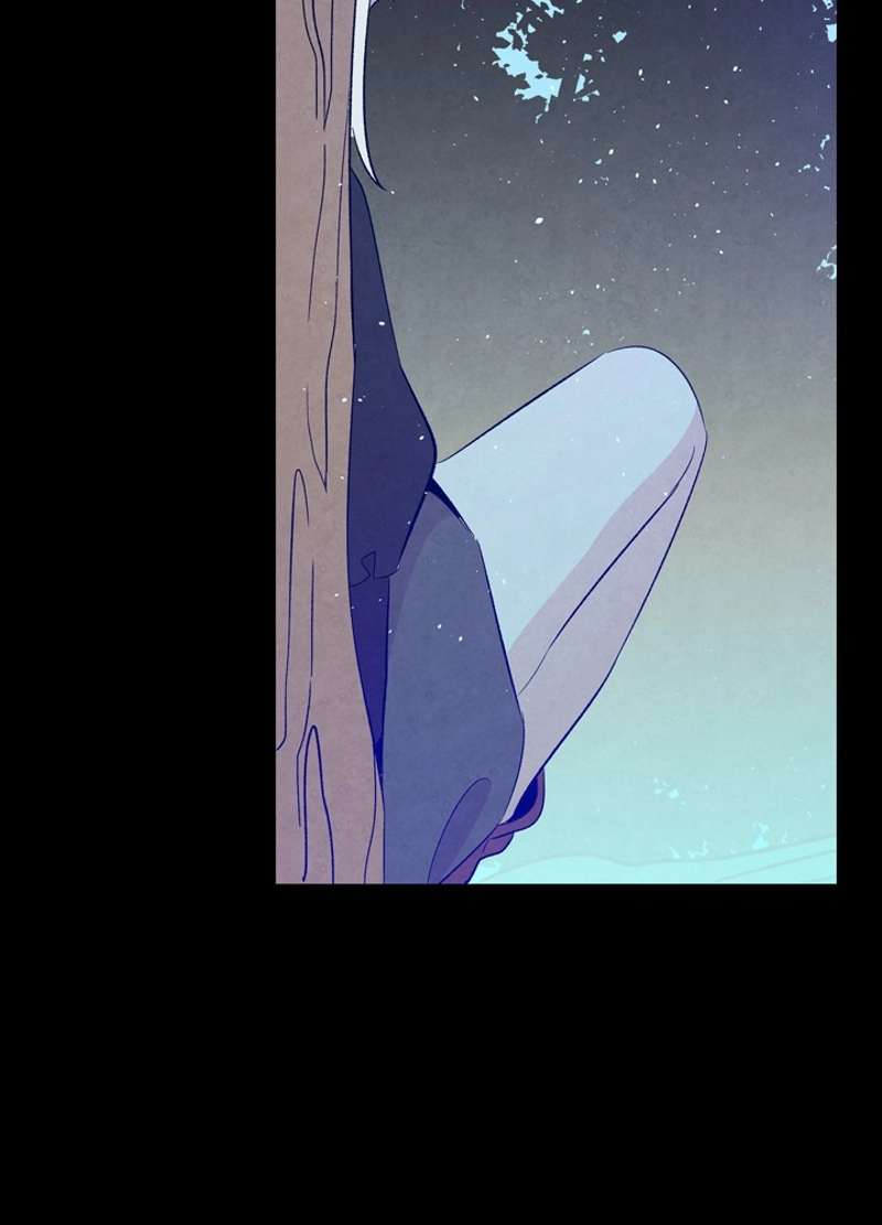 P81