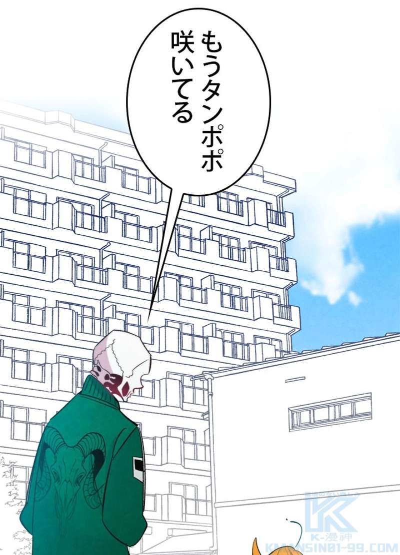 P62