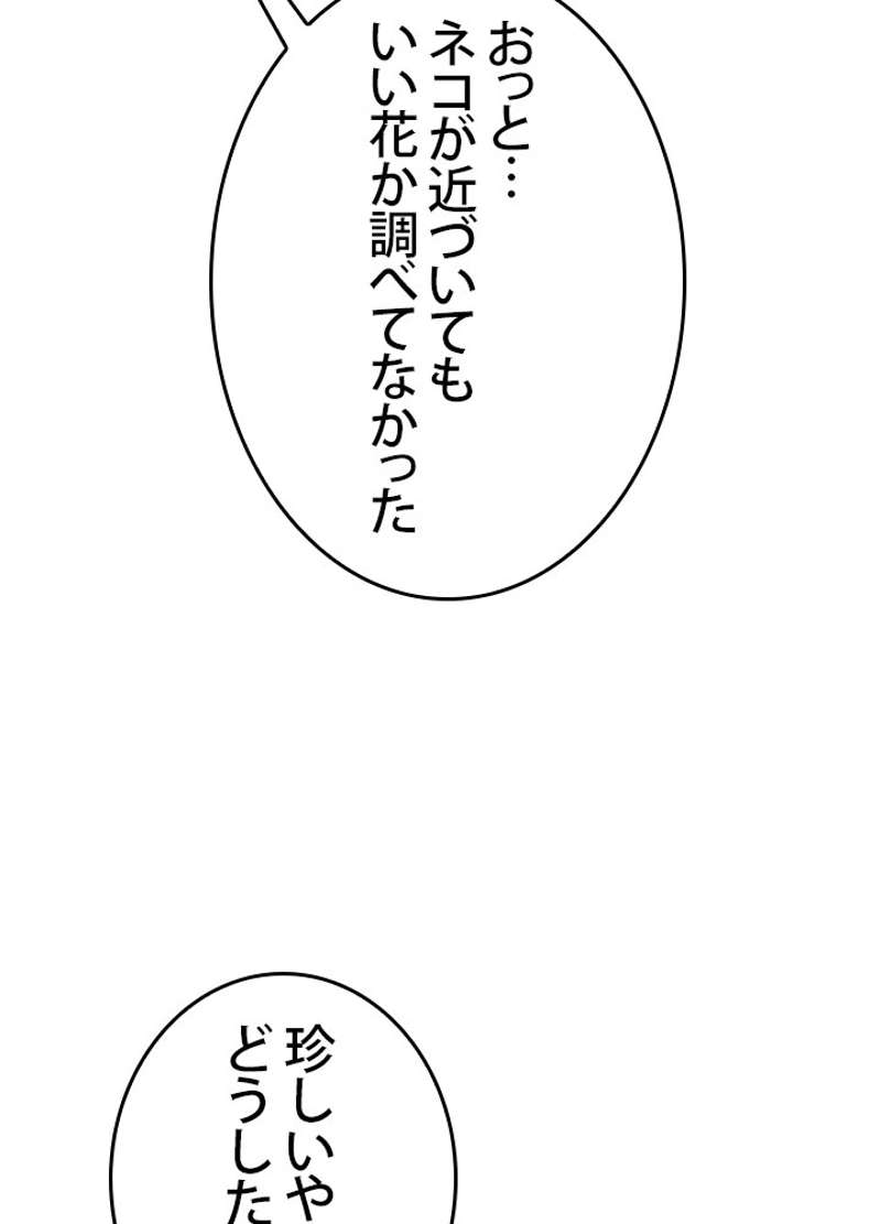 P67