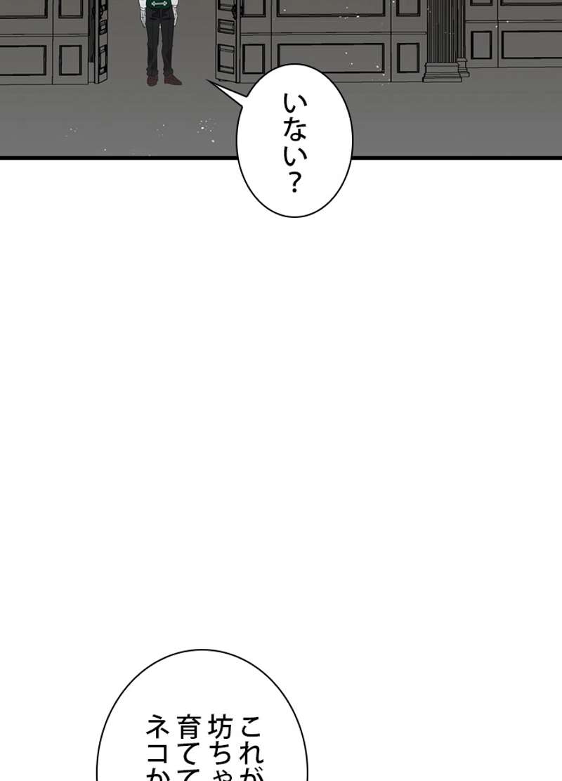 P66