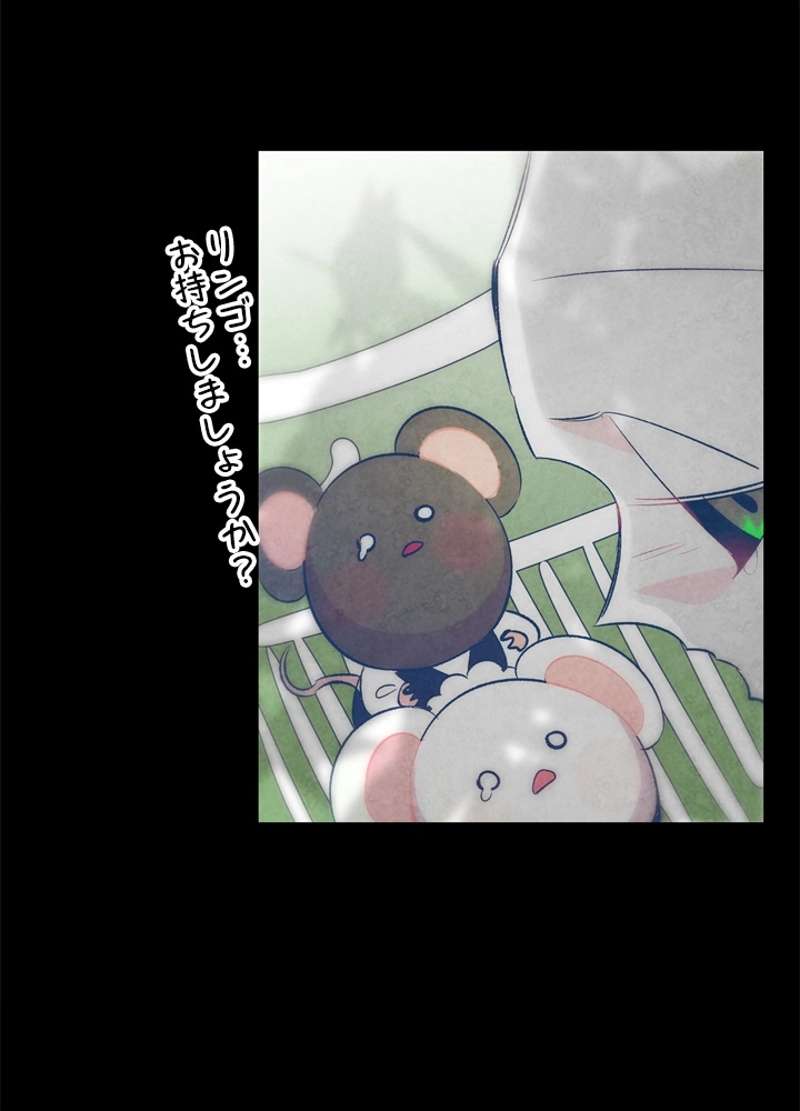 P55