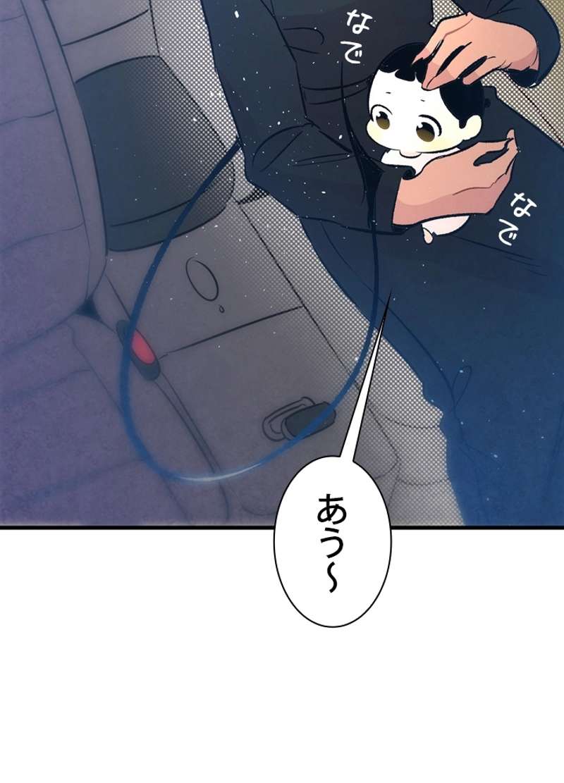 P79