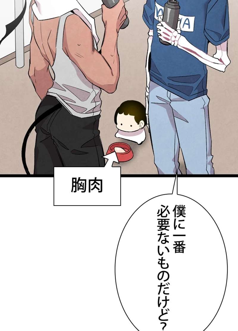 P42