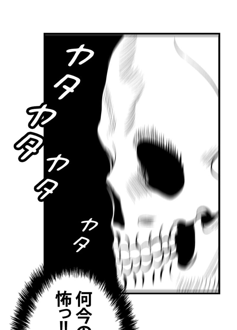 P84