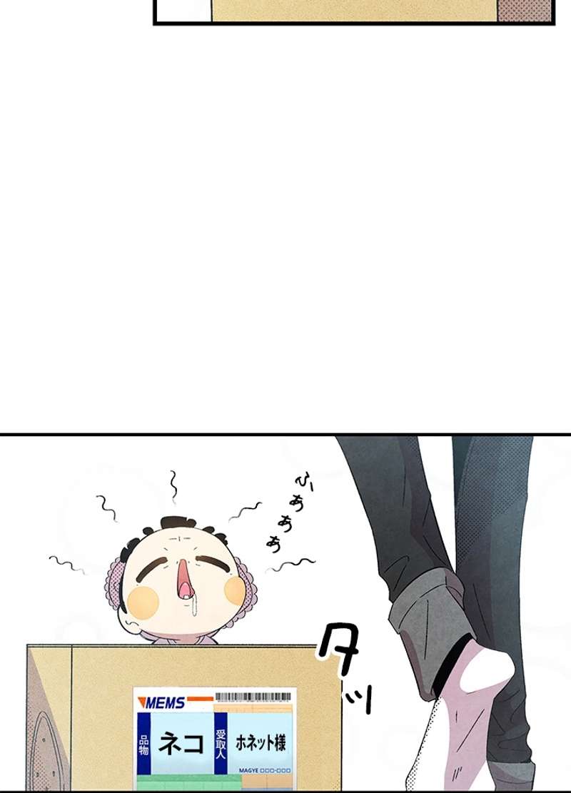 P31