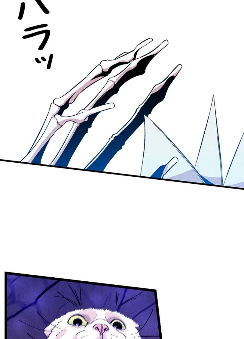 P73