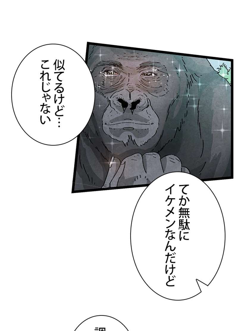 P76