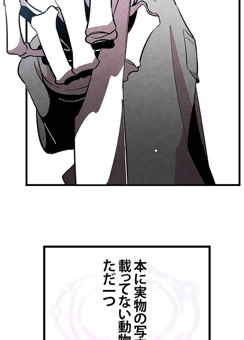 P81