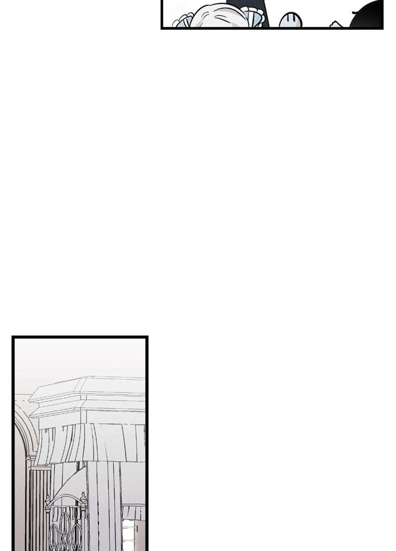 P61