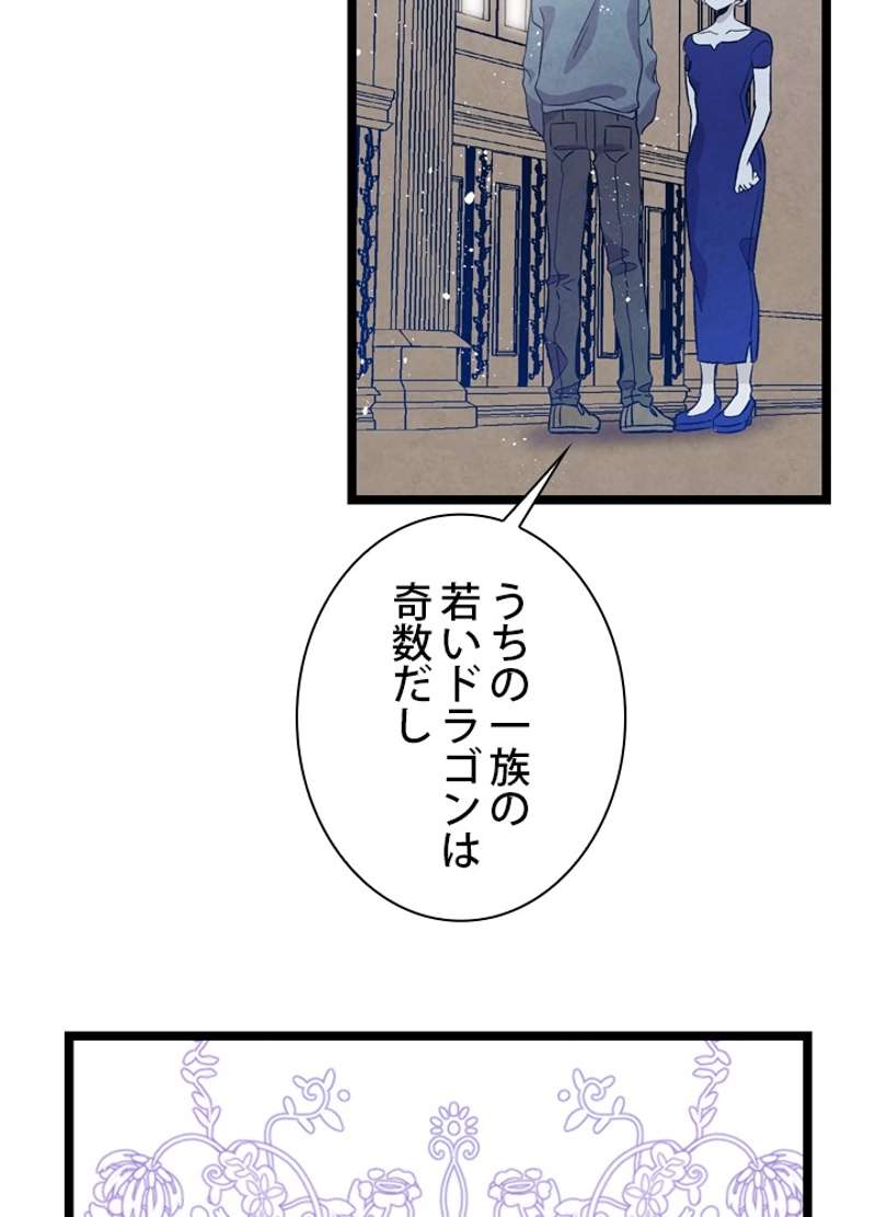 P66