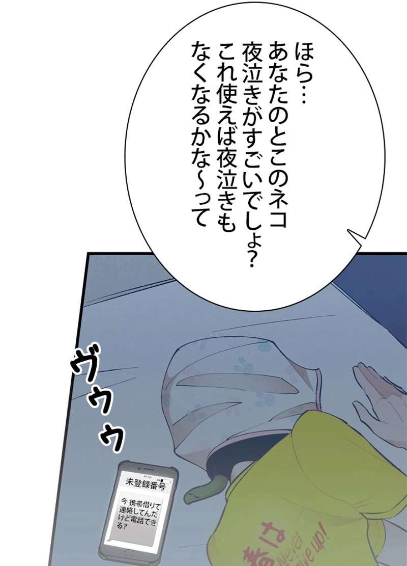 P51