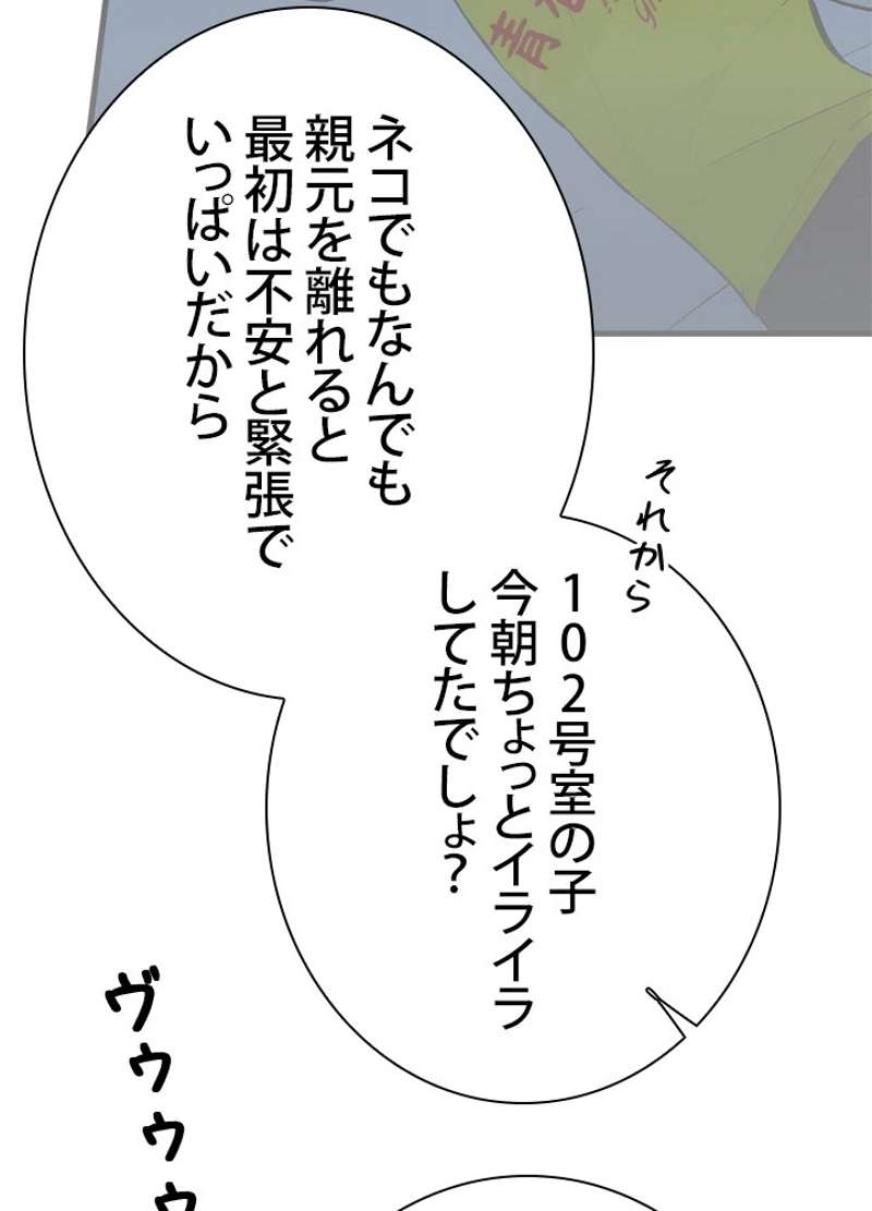 P52