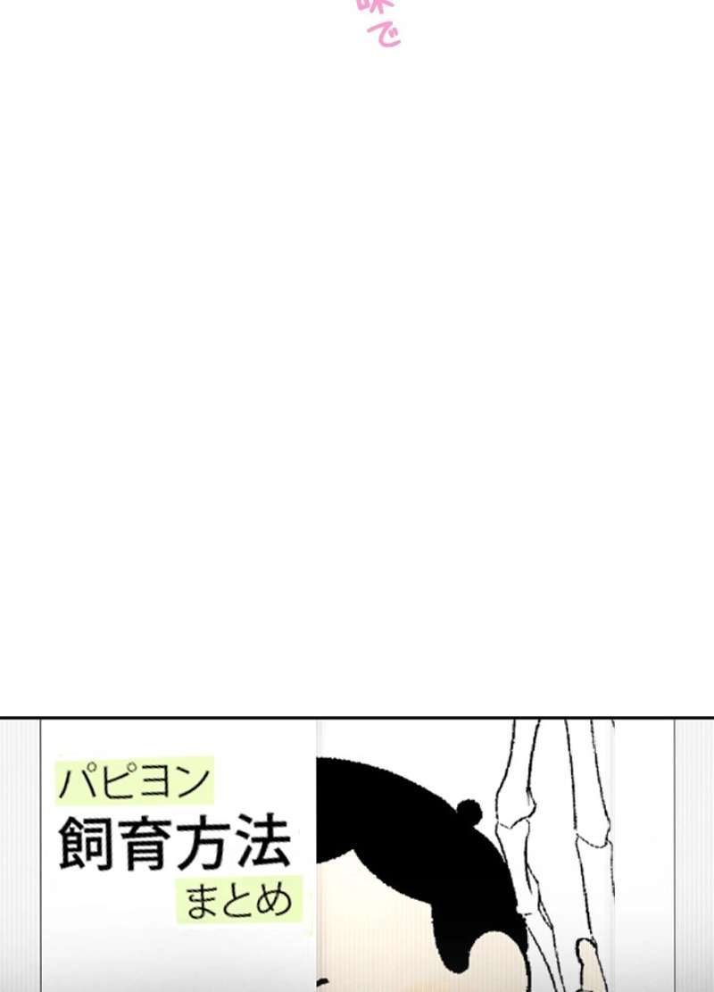P66