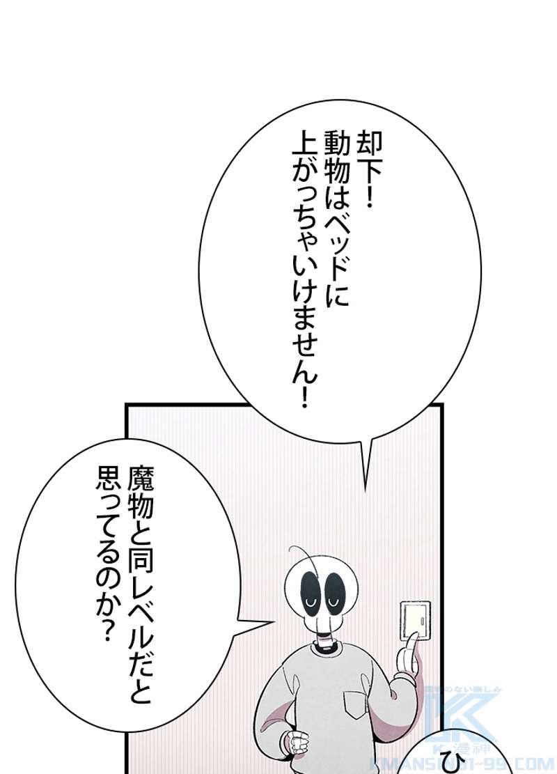 P38