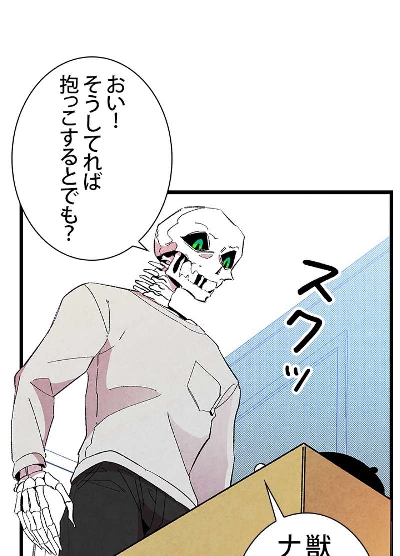 P54