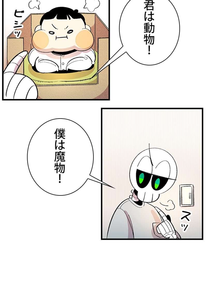 P58