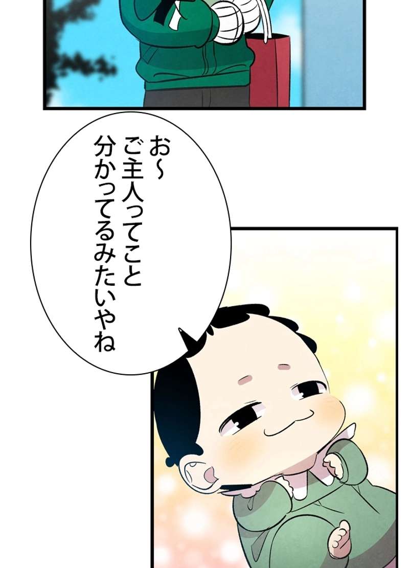 P63