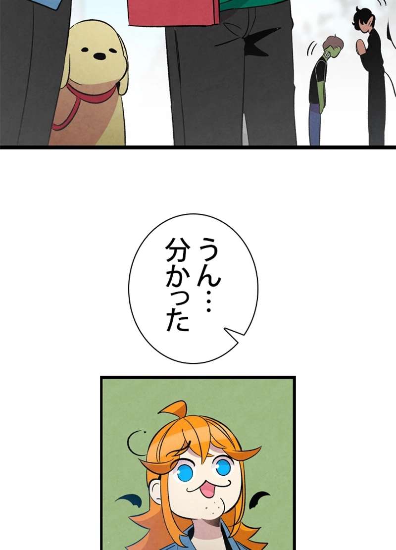 P66