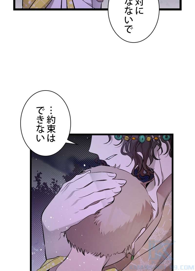 P53