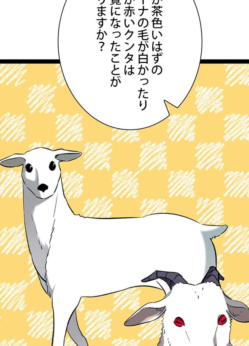 P61