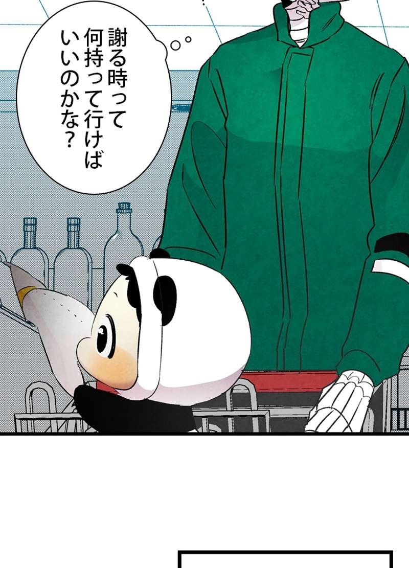 P61