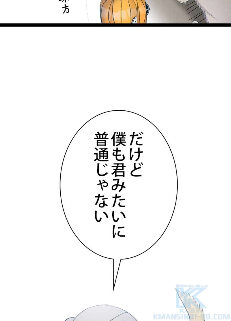 P53