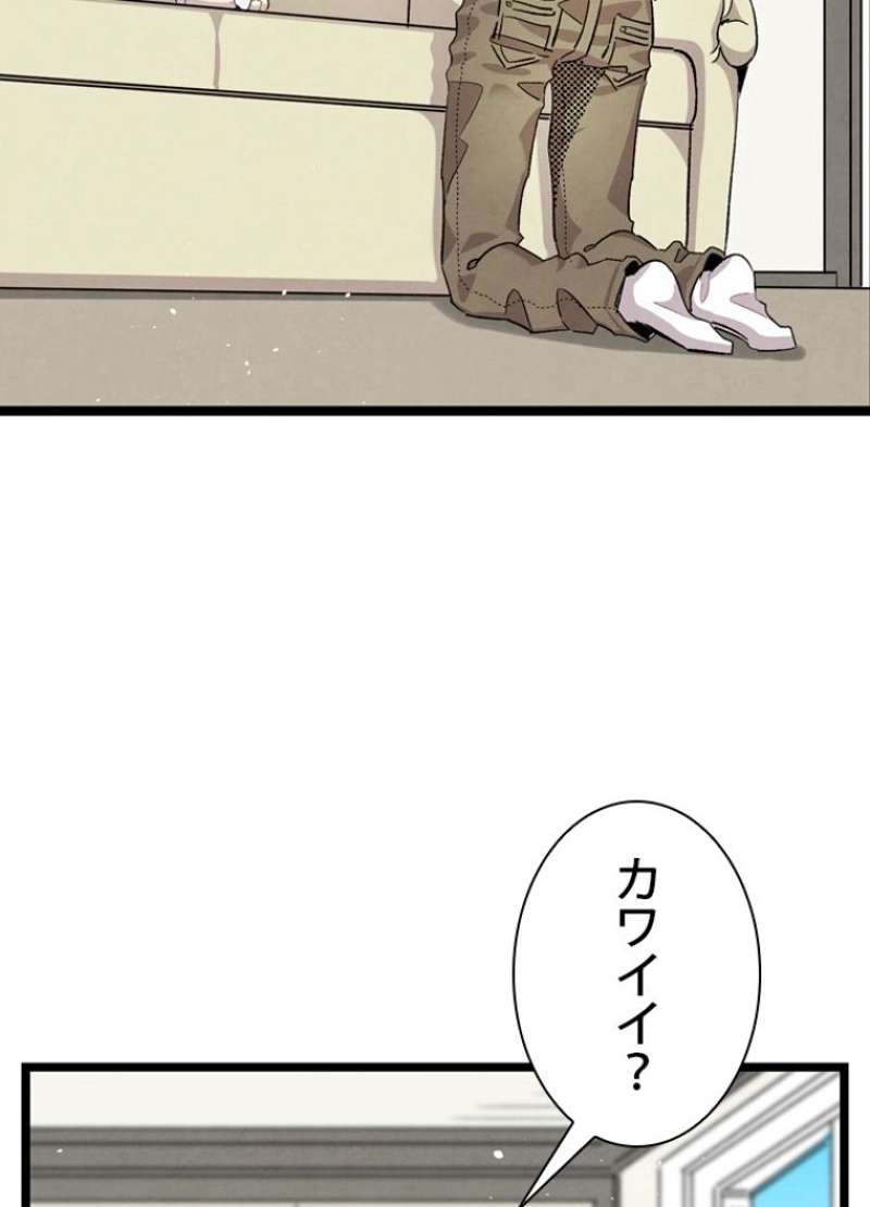 P64