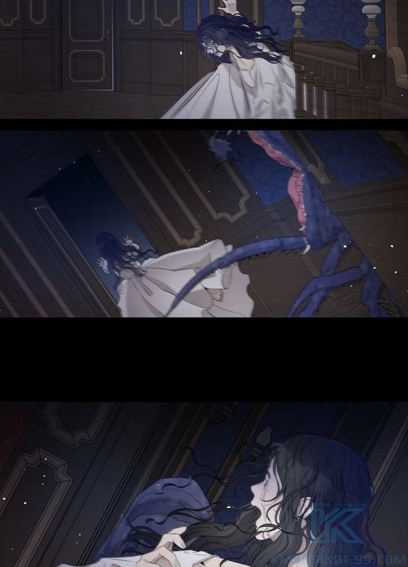 P53