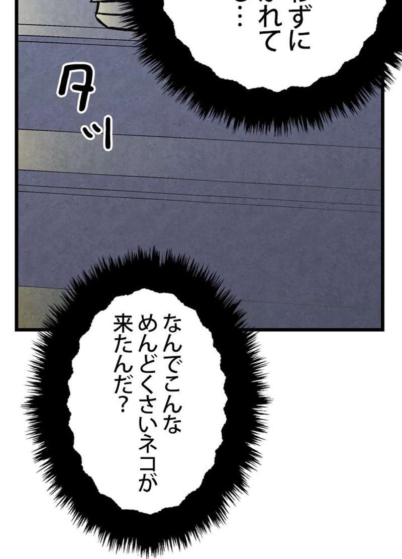 P67