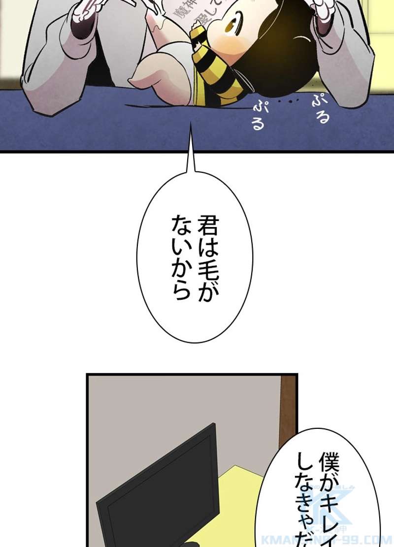 P26