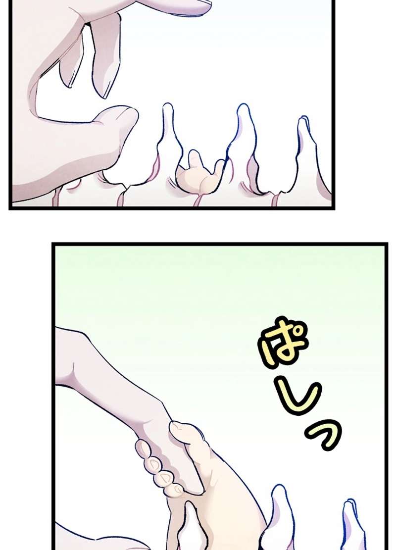 P64