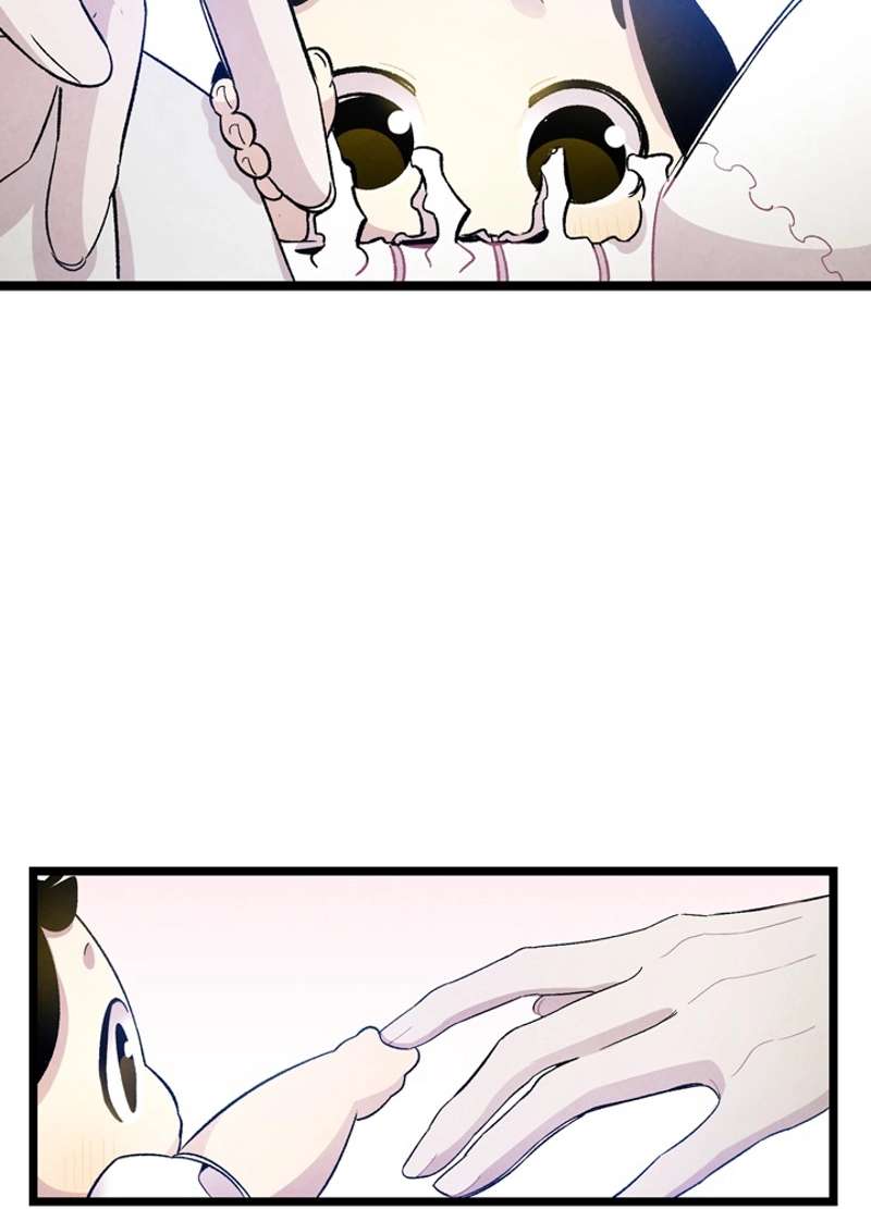 P66