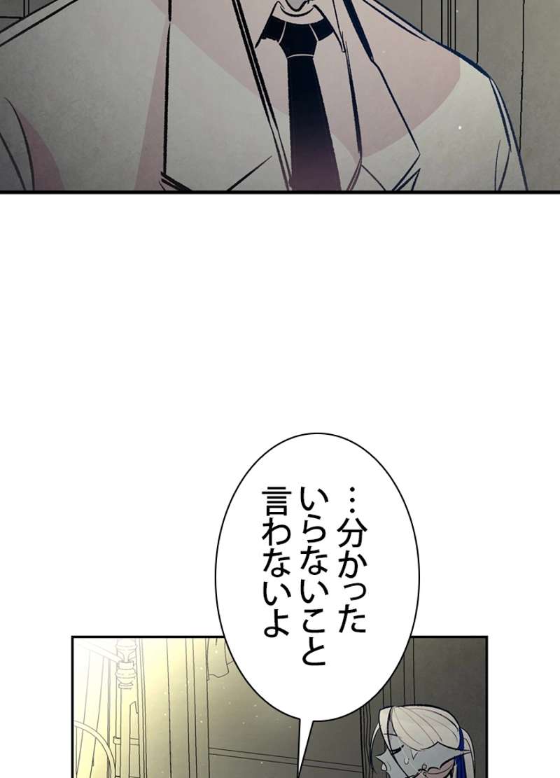 P66
