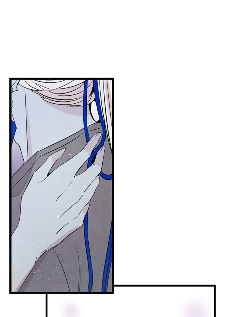 P54